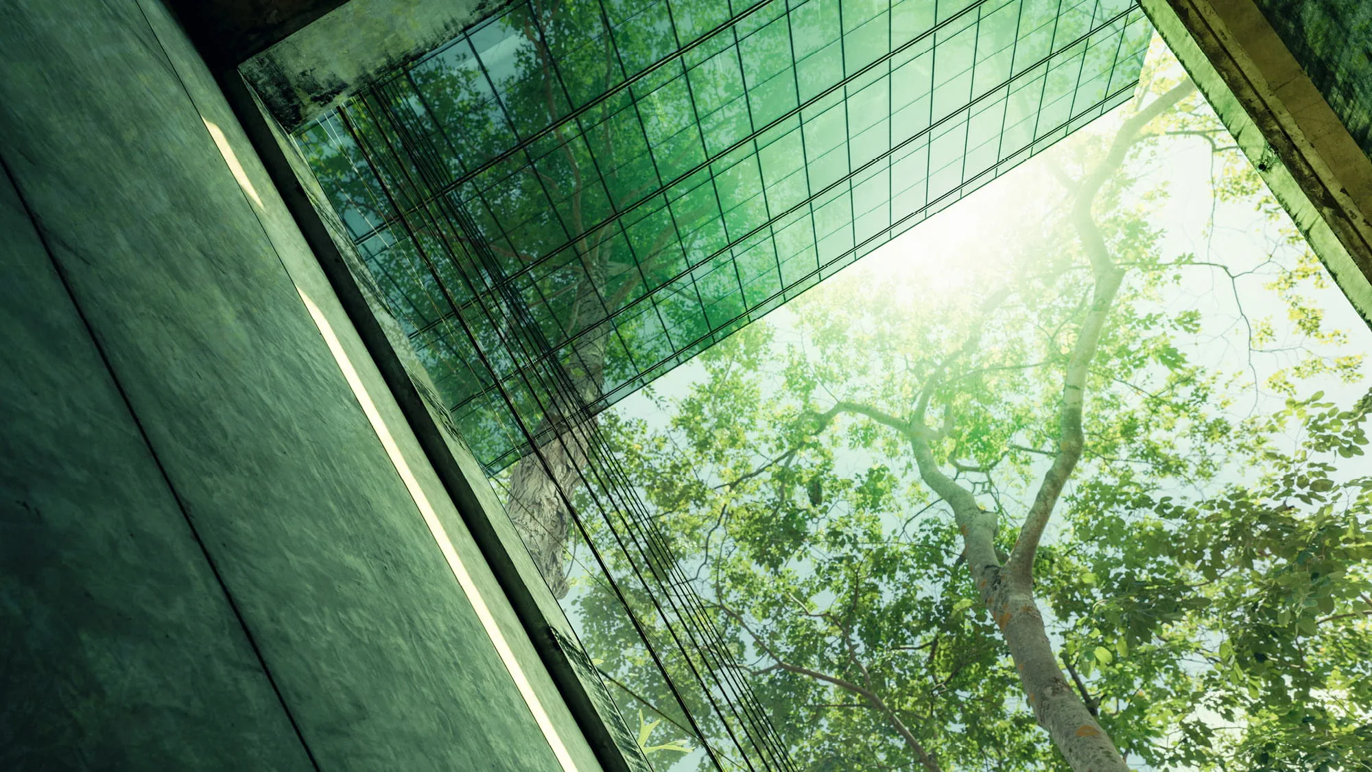 Green trees above glass roof lines
