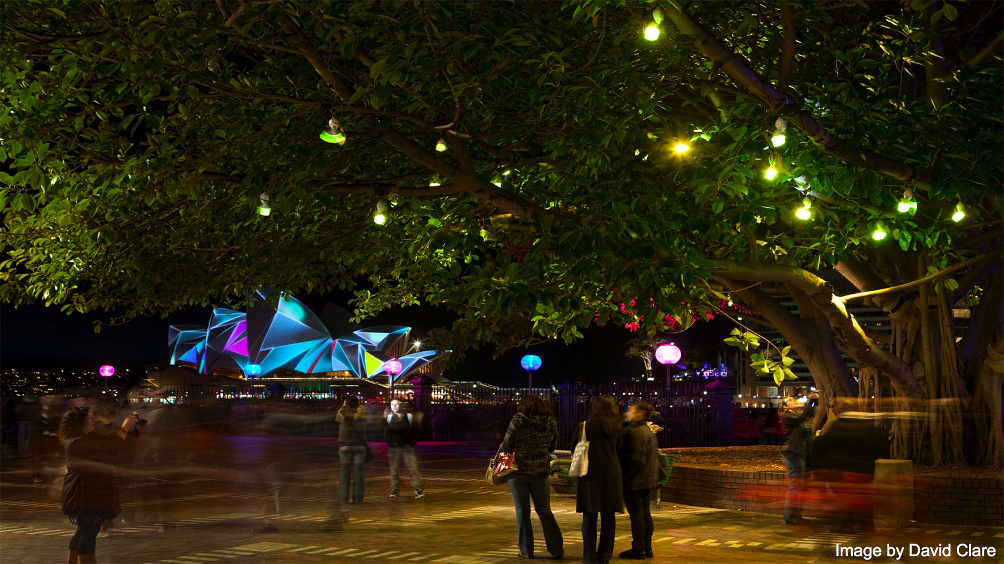 Social Firefly is an artwork of 50 autonomous light robots, exhibited during Vivid Sydney 2011. Photo: David Clare