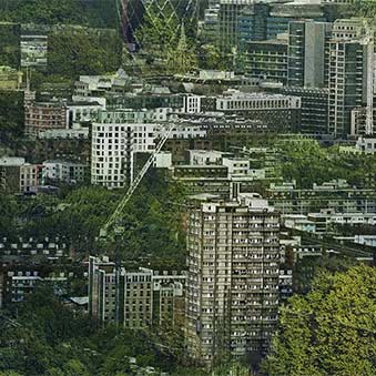 How can cities embrace nature to meet their net zero commitments?