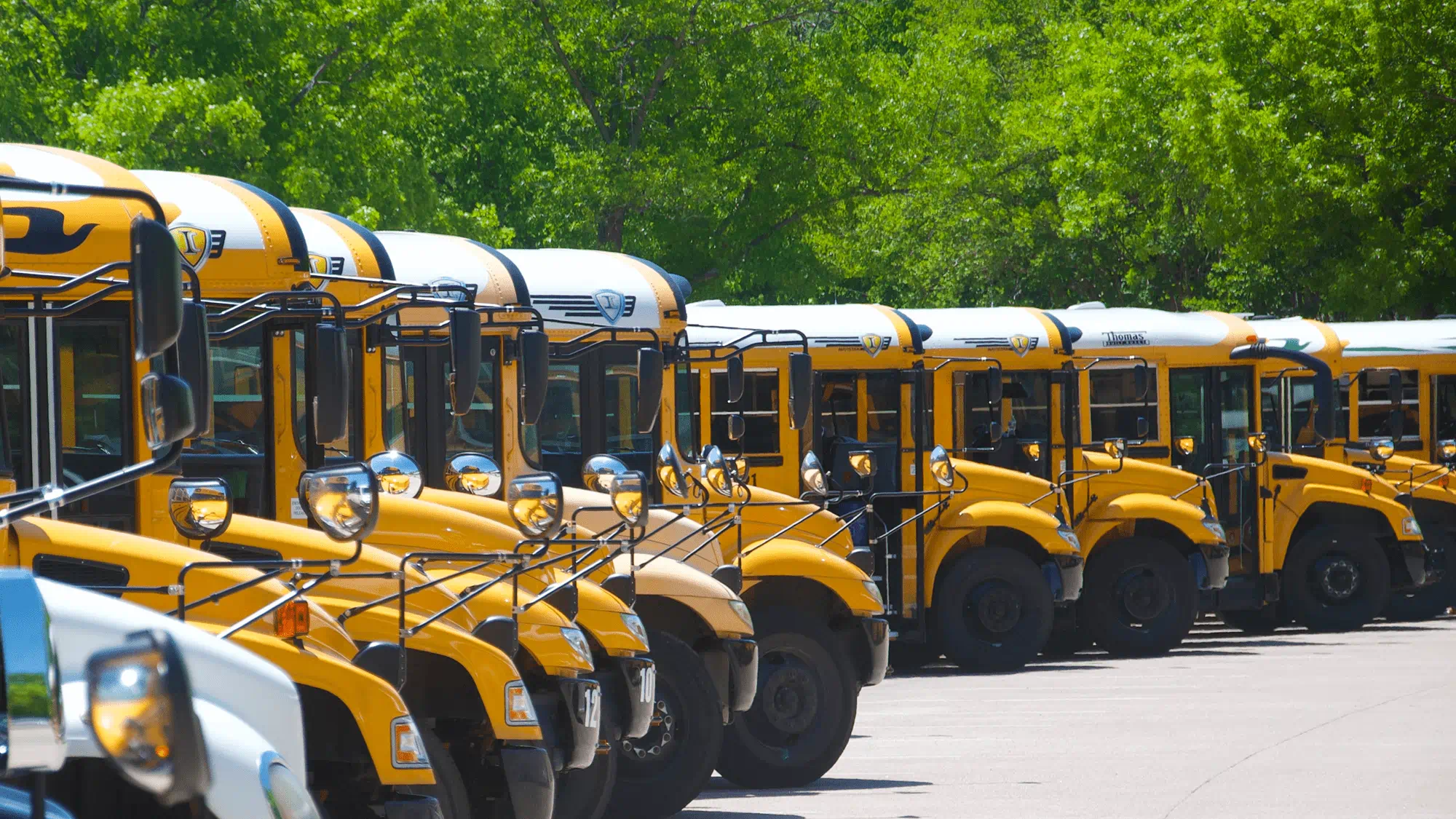 A daytime image of a school bus fleet