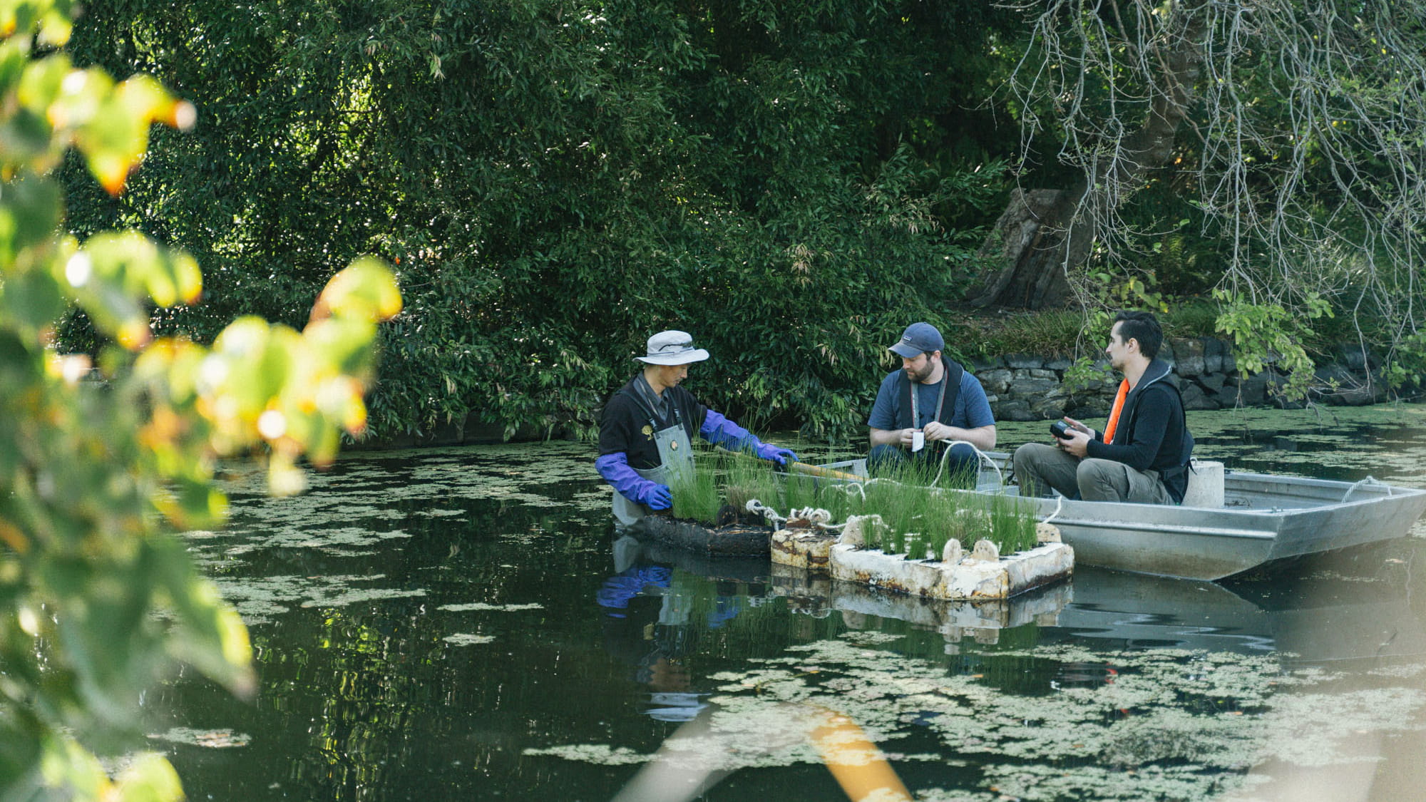 Three men placing wetland pods into a lake