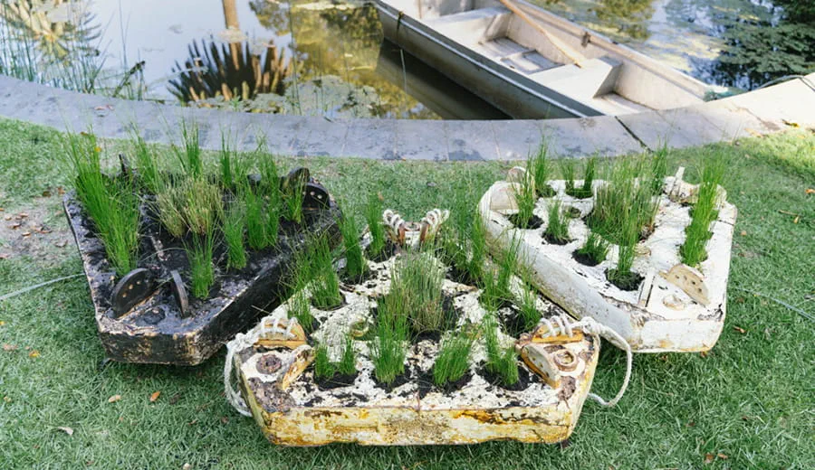 Mycelium prototype for wetlands trial in Royal Botanic Gardens in Melbourne