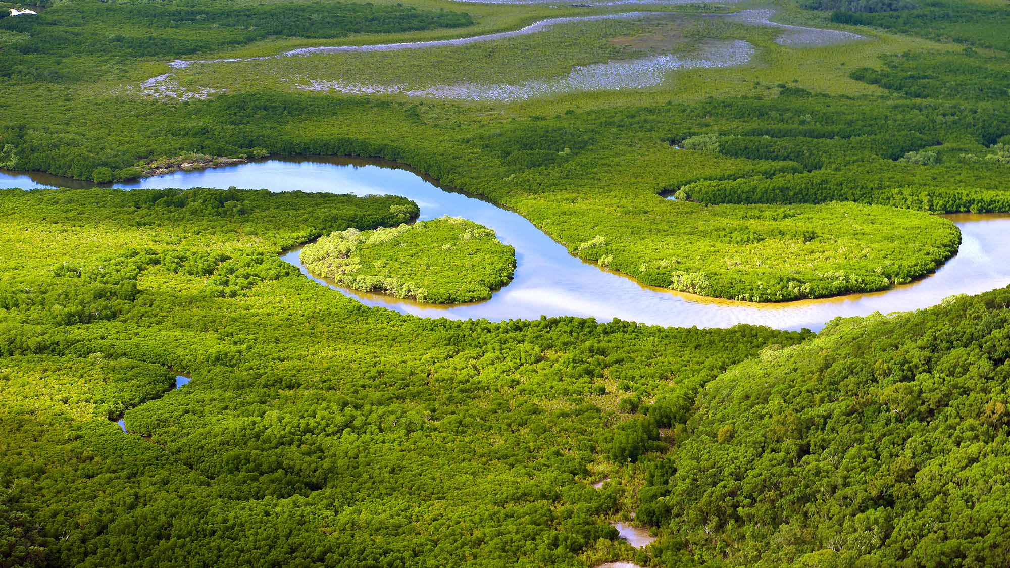Aerial view of a river meandering through the forest