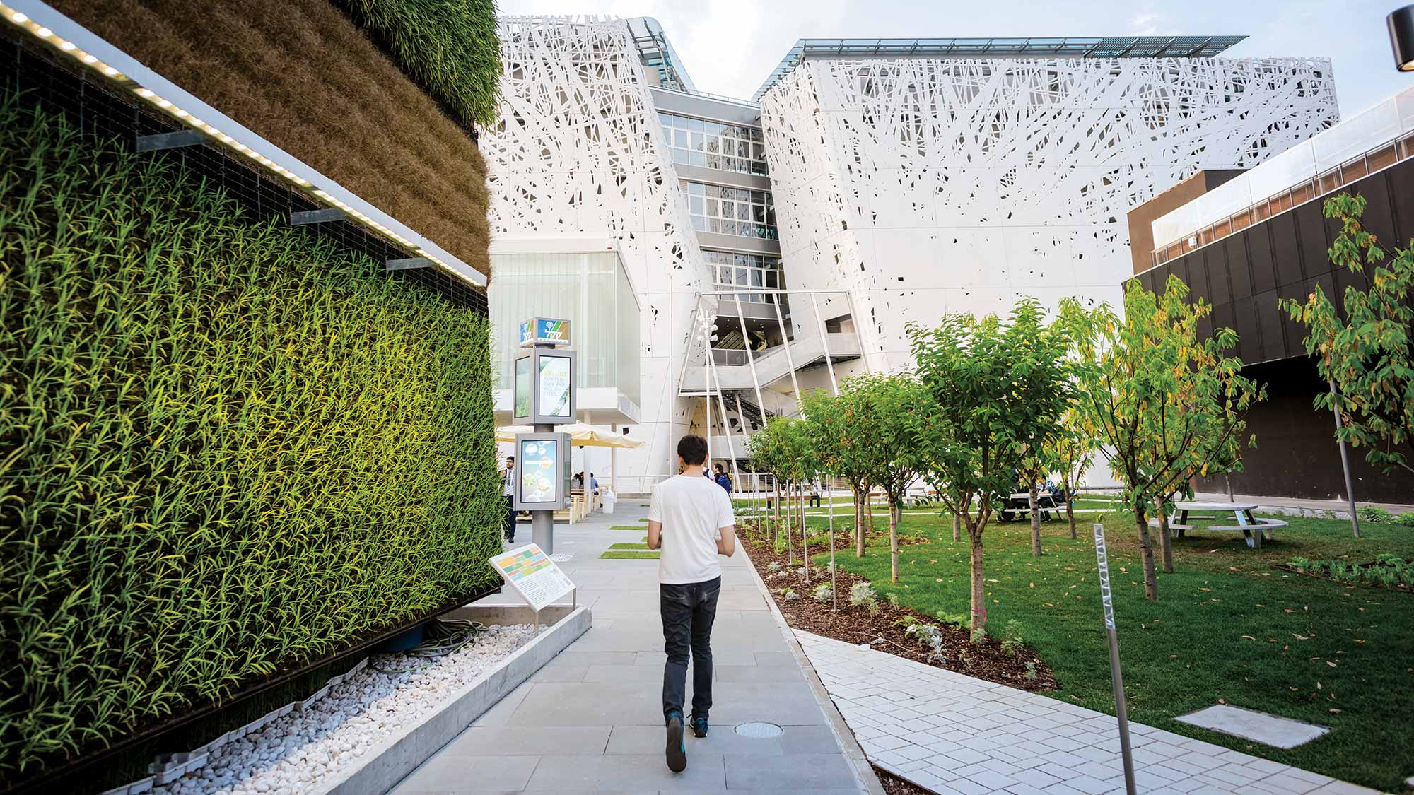 a green building envelope in action