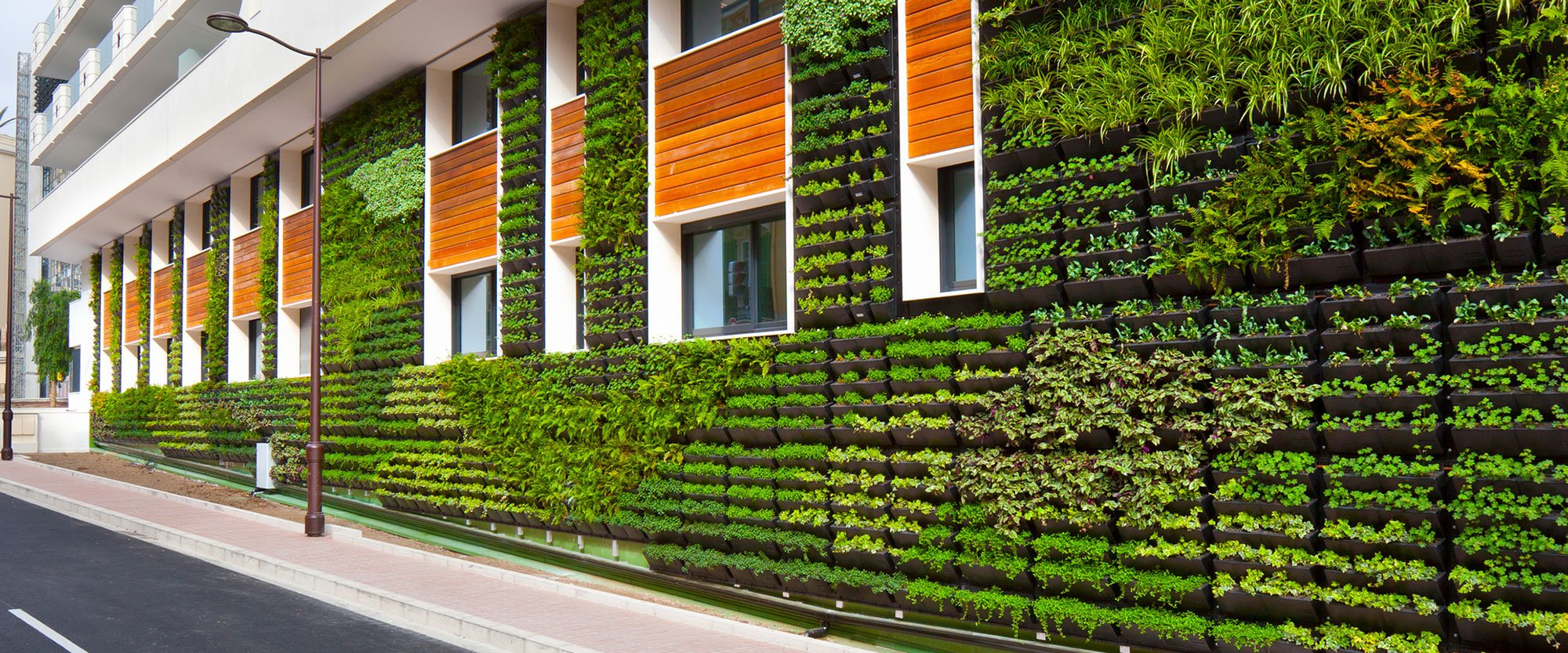 Green vegetation on walls of an office building