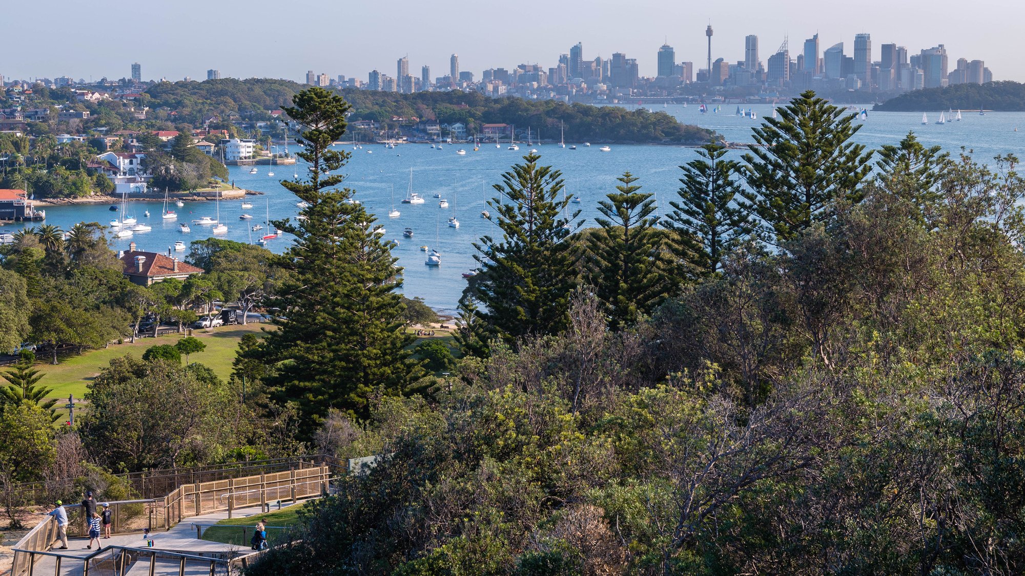 Far away view of Sydney city and harbour from above trees, parks, houses on a sunny day