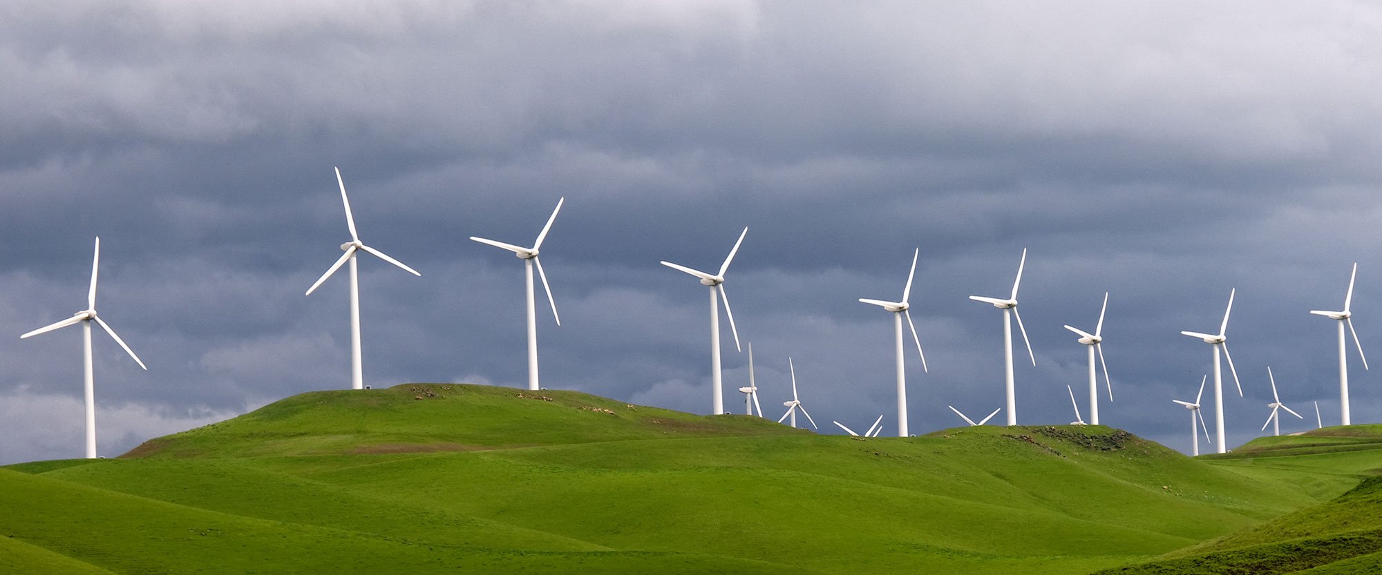 Wind turbines on a hillside in California