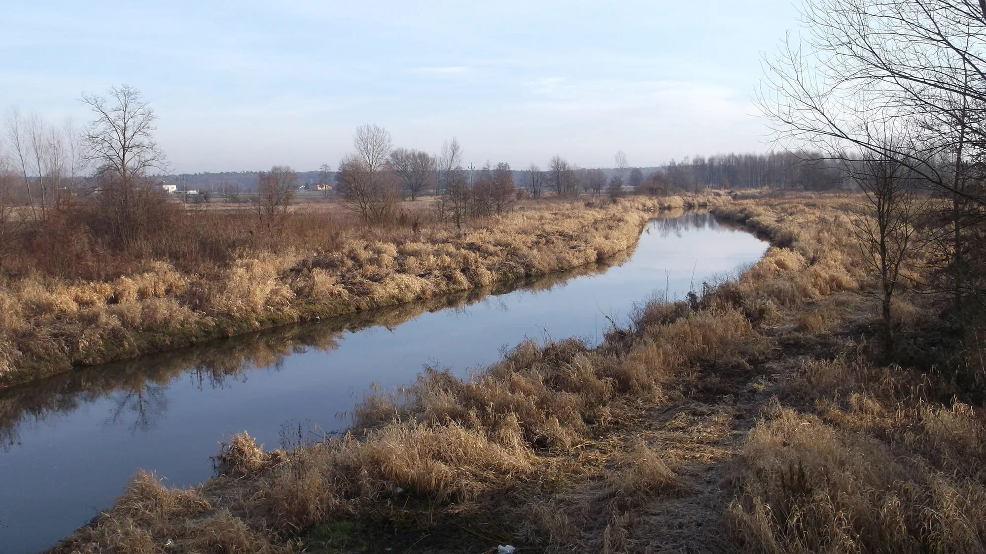Czarna Staszowska and Nida rivers. Credit: Arup.