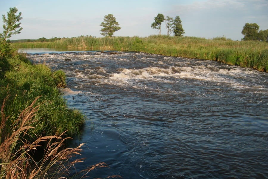 This project created an improved flood protection programme and tangible cost savings to the investment strategy for catchments of the Nida and Czarna Staszowska rivers.