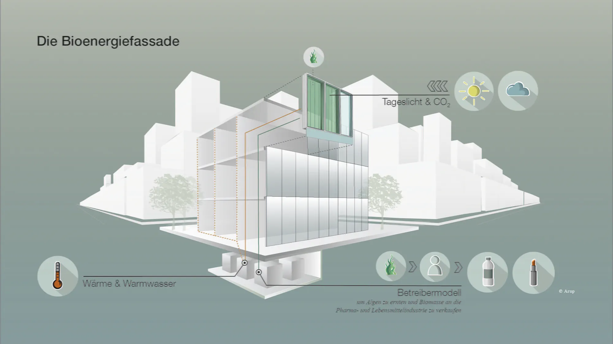 Die Grafik verdeutlicht die Funktionsweise der Photobioreaktoren der Bioenergiefassade. 