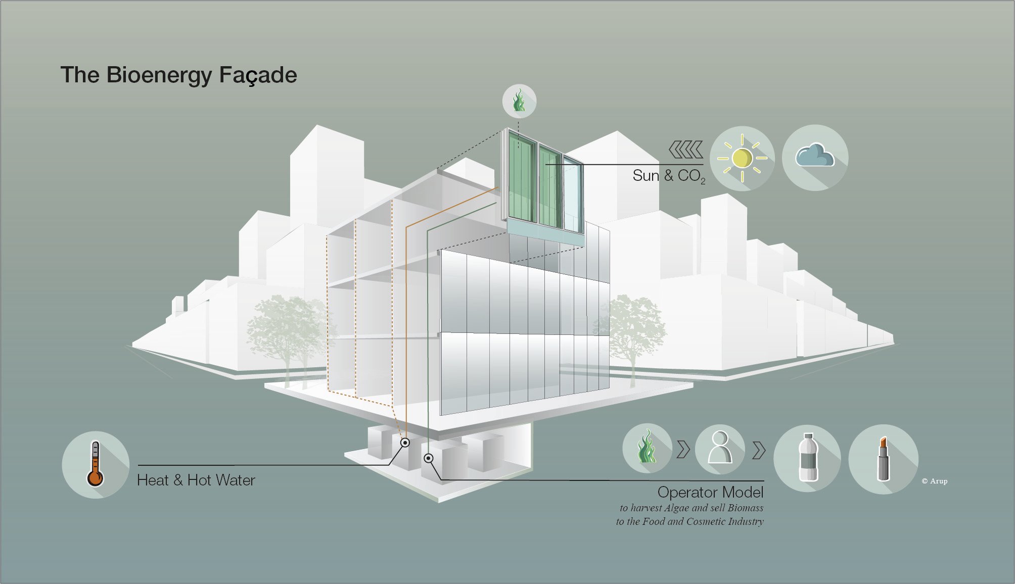 The graphic illustrates the function of the photobioreactors of the bioenergy facade.
