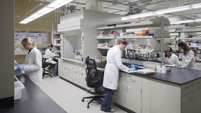 Staff in a lab