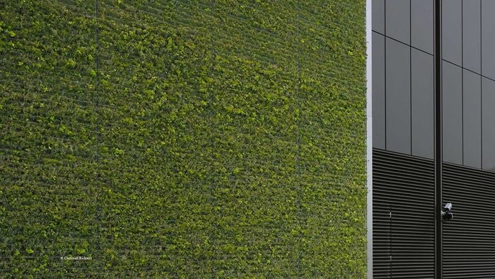 Green facade of the citigroups' data center in Frankfurt am Main
