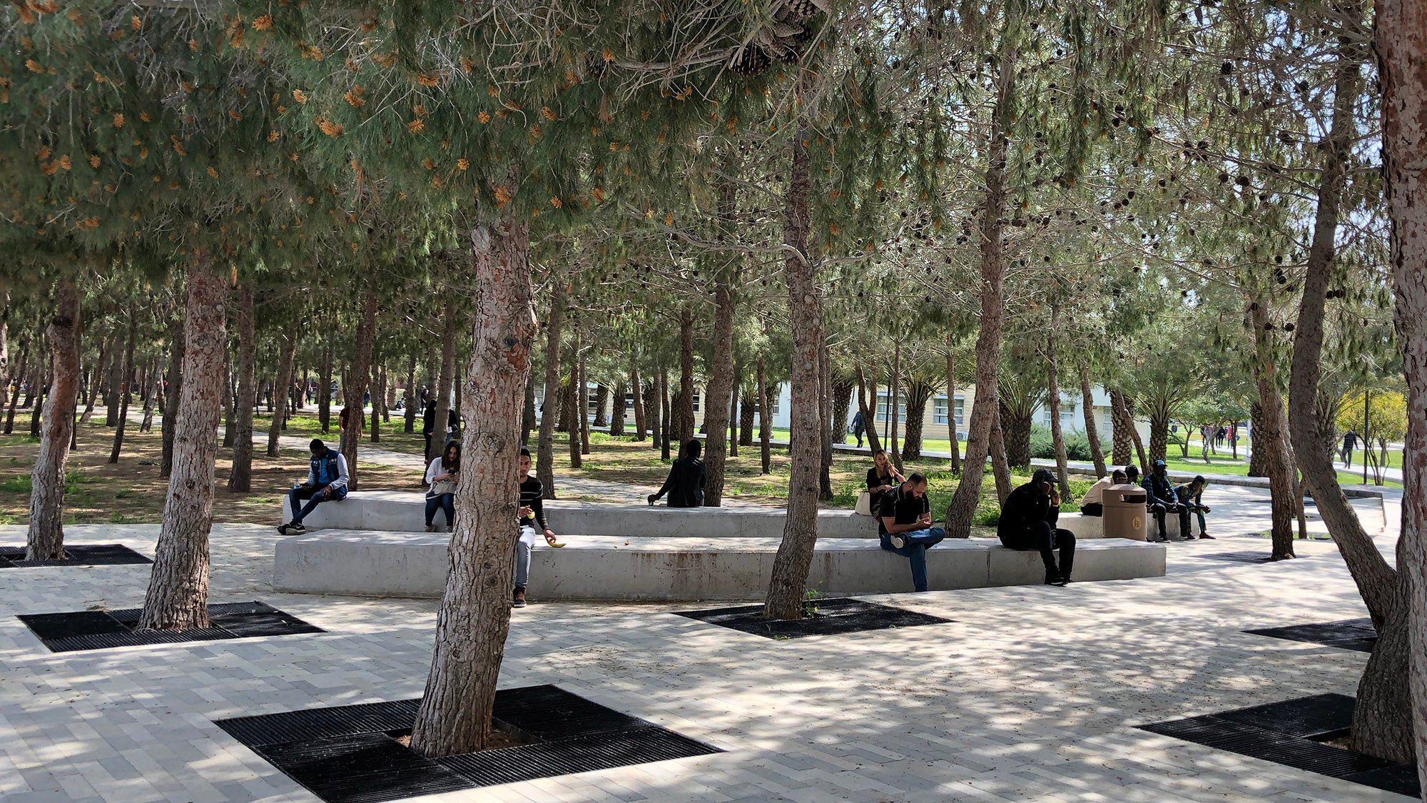 Tree lined paths provide continuous shade during summer and partial shade during winter, creating open spaces where students are likely to gather.