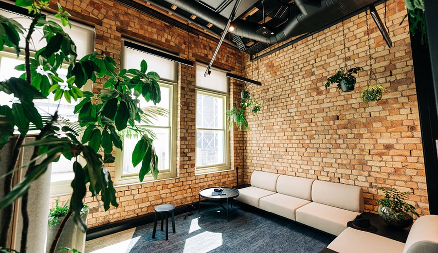 Modern workspace with natural light, plants