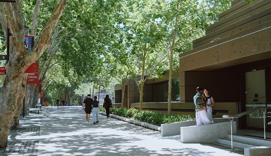 Macquarie University Central Courtyard Precinct, Sydney