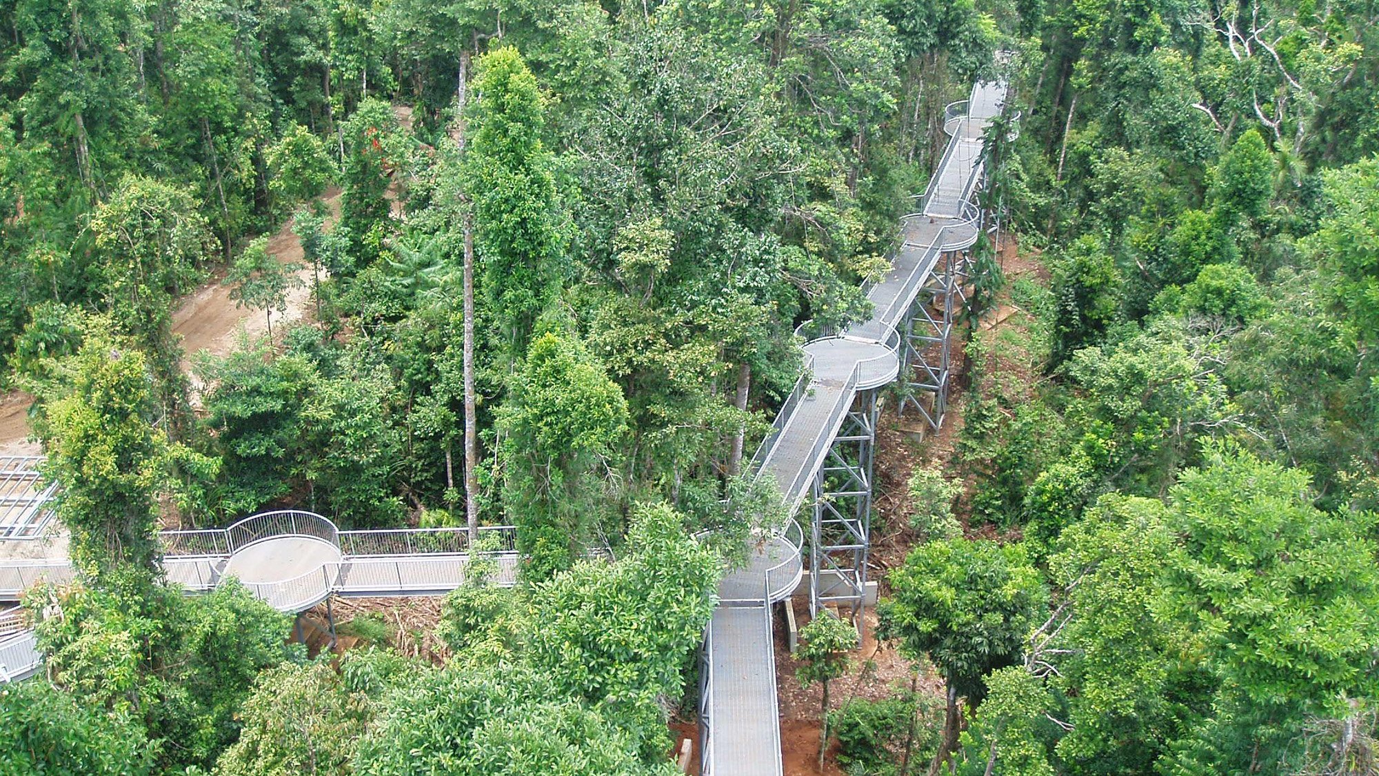 Sky view of Mamu Rainforest Canopy Walkway