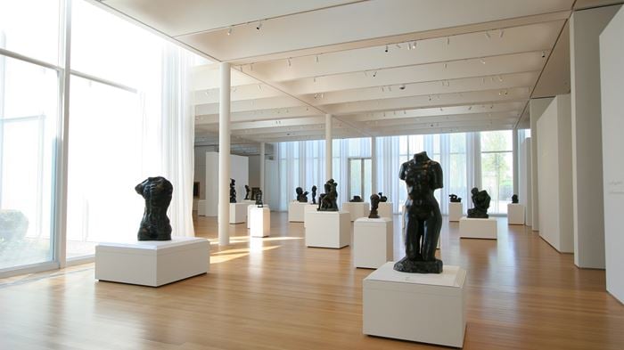 Arup's lighting engineers came up with recommendations for the North Carolina Museum of Art. Photo: Matt Franks