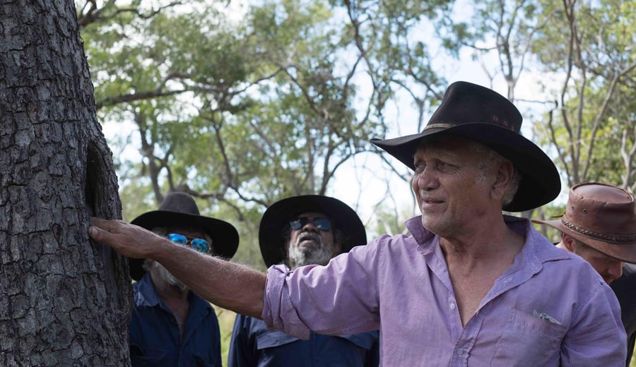 An Indigenous older man looking at a tree with fellow Native Owners in outback Australia