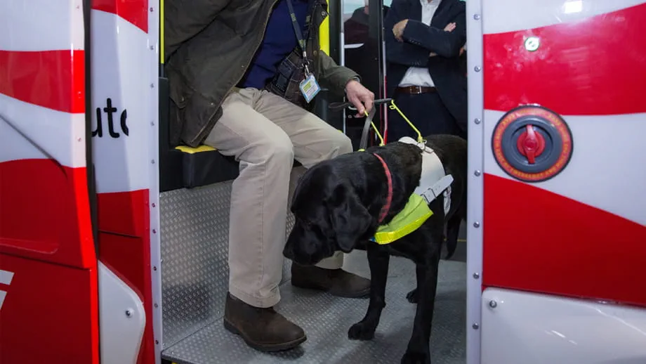 Accessibility for Guide Dogs for the Blind
