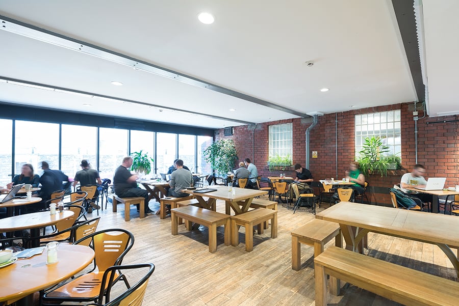 Daylight and low-energy LED lighting at the Watershed cafe.