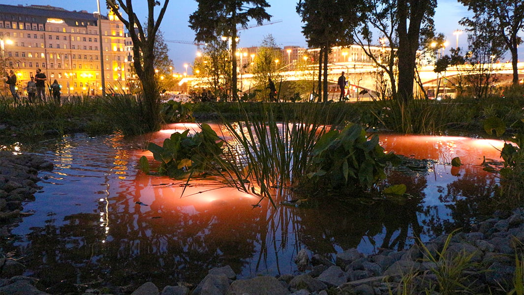 The wetlands, Zaryadye Park, Moscow