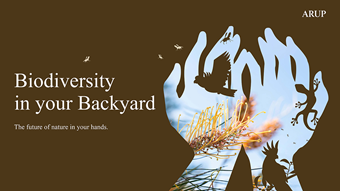 Biodiversity in your Backyard report cover design with illustration of hands holding flora and wildlife