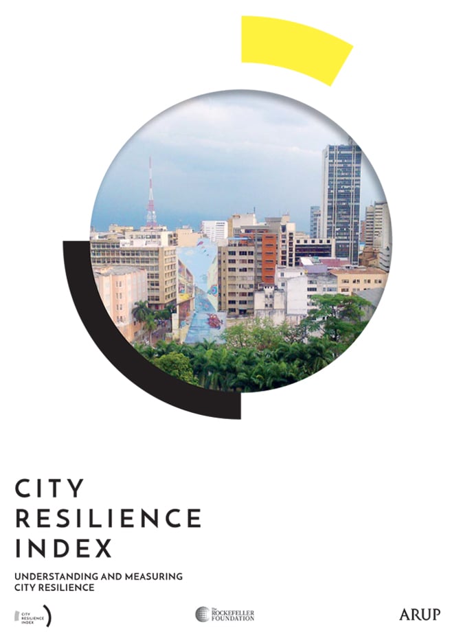 City Resilience Index cover