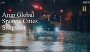 Global Sponge Cities