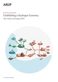 Establishing a Hydrogen Economy