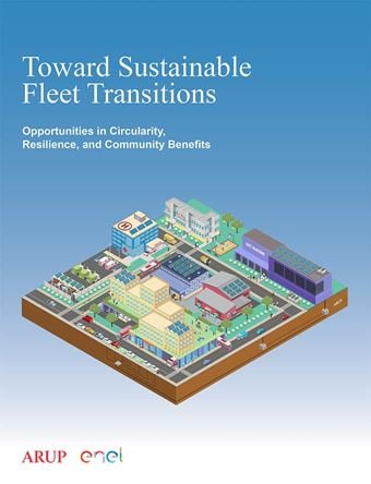 Towards-sustainable-fleet-transitions-cover-image