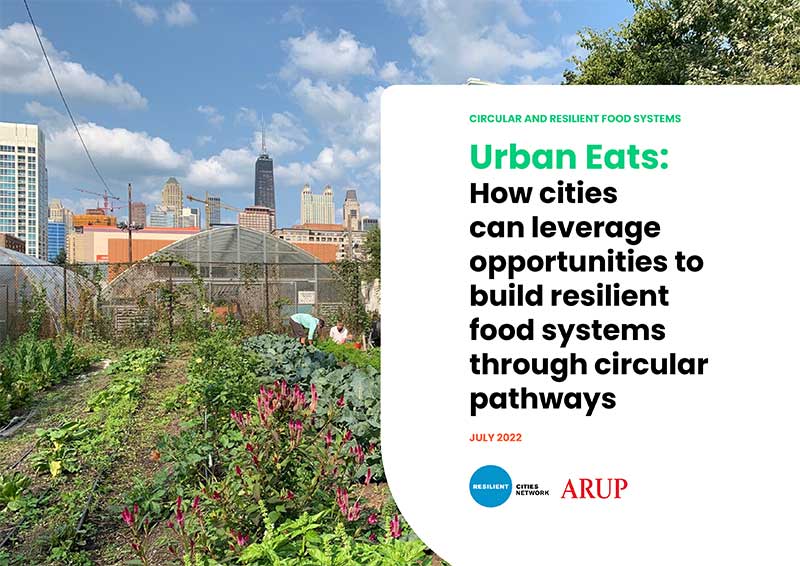 Urban eats 电竞竞猜外围 and Resilient Cities Network