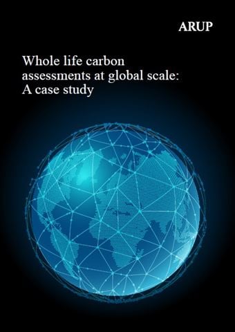 Whole life carbon assessments at global scale cover image
