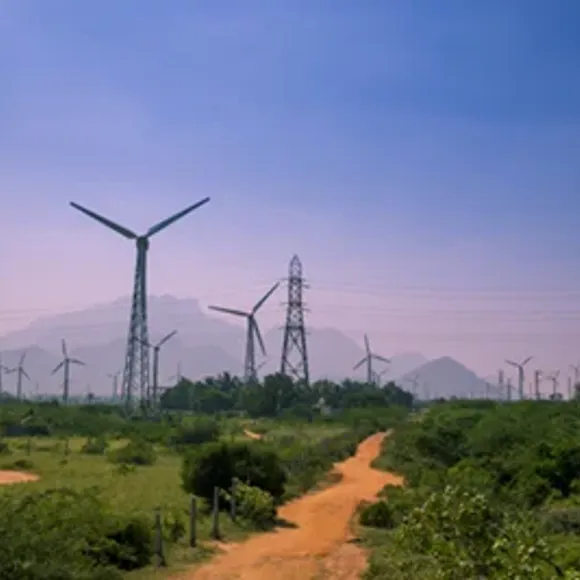 A dirt road with power lines on either side of it.
