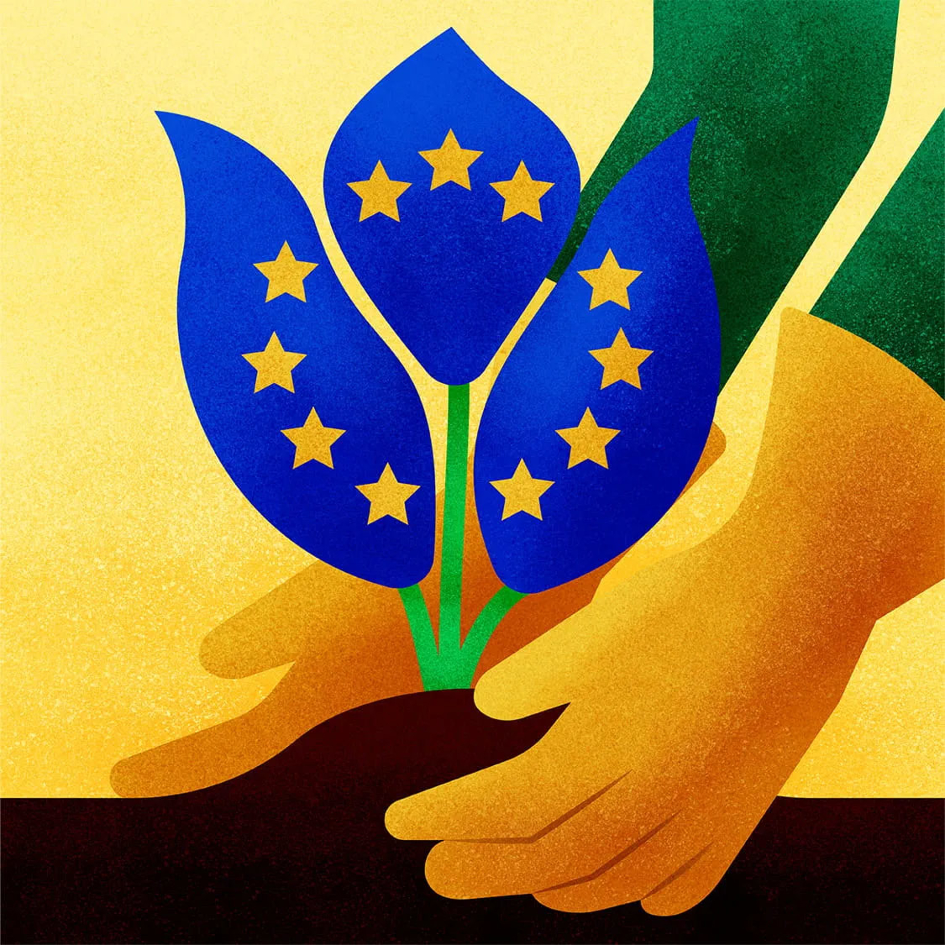 What Is Europe s Nature Restoration Law Arup what-is-europe-s-nature-restoration-law-arup