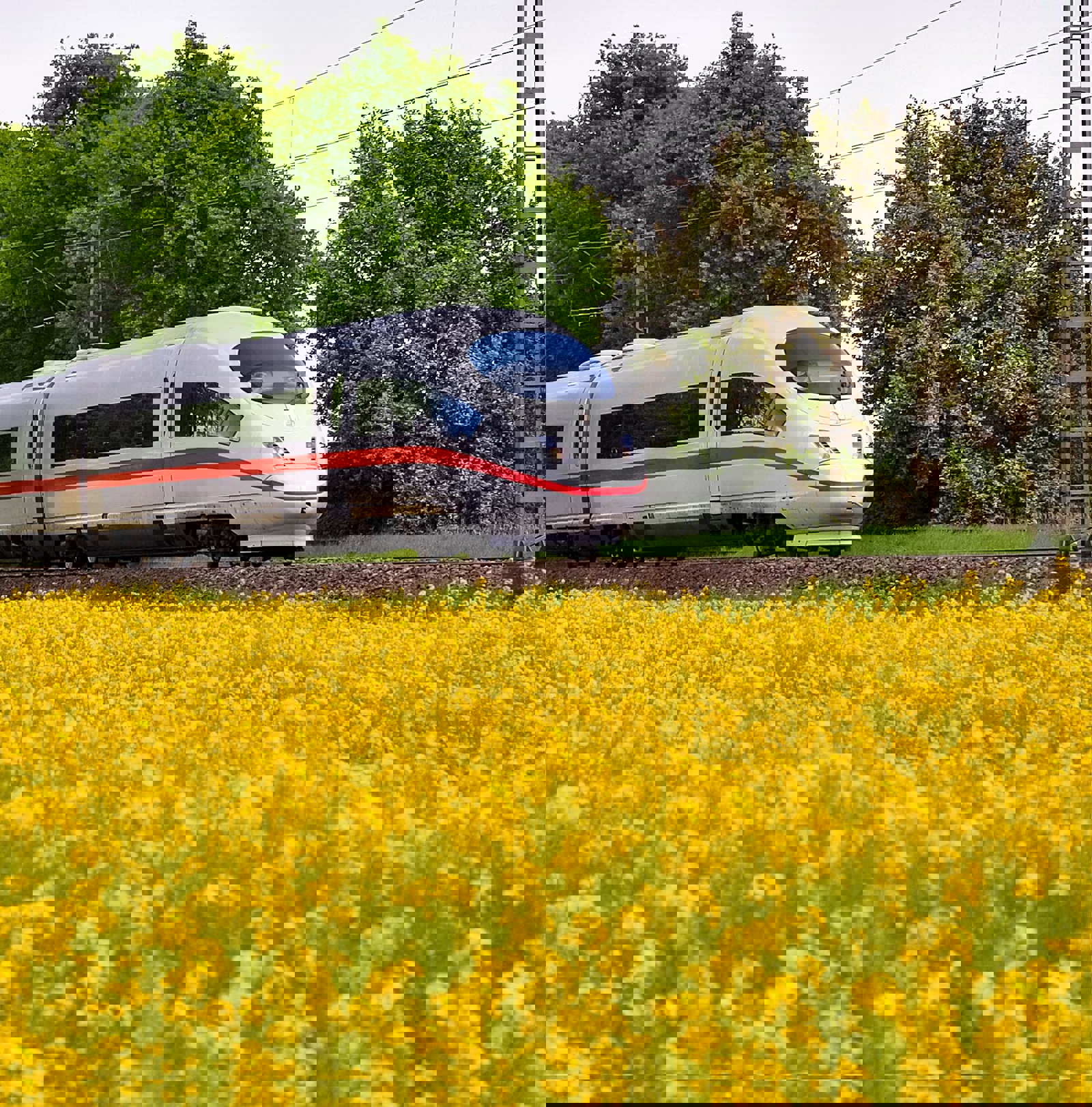 High speed train