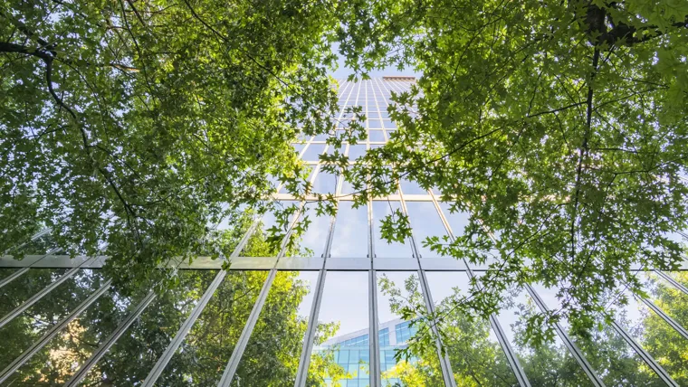 View upwards of a modern facade of an office building and trees