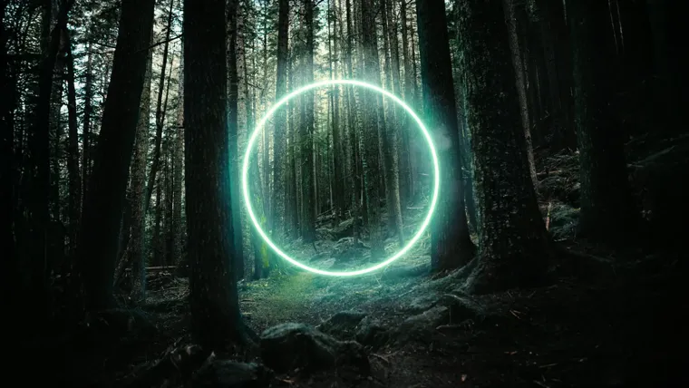 A circular light in the woods