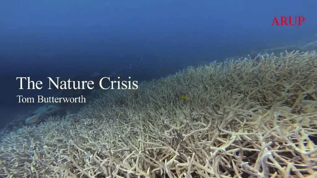 Text overlaid on an underwater scene