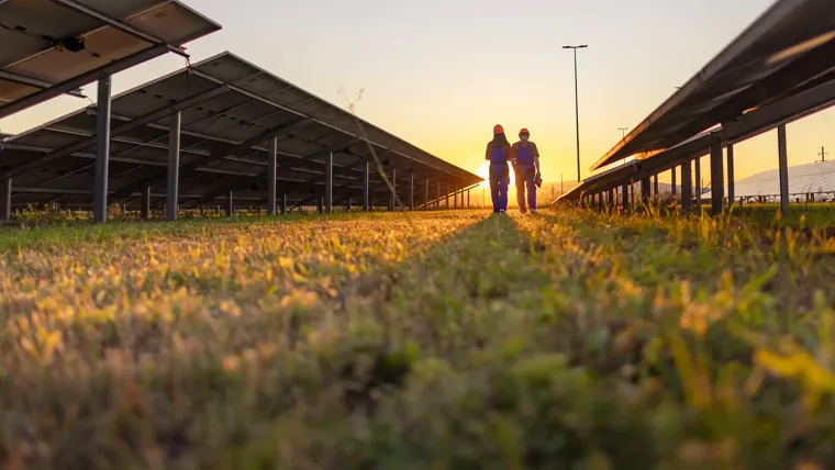 A couple of people standing in a field of flowers.