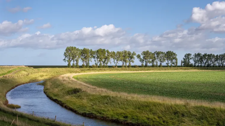 A river running through a grassy field.