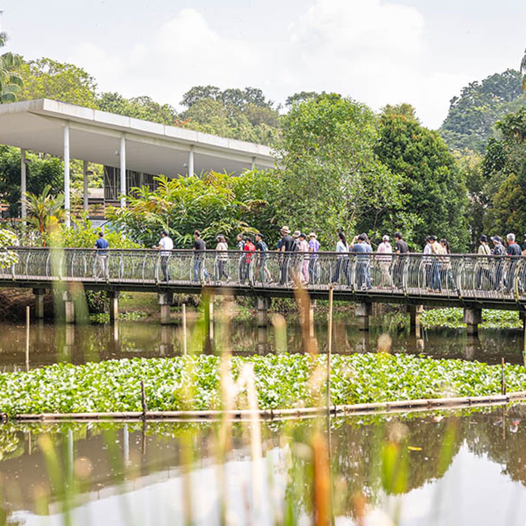 A group of people walking on a bridge over a pond.