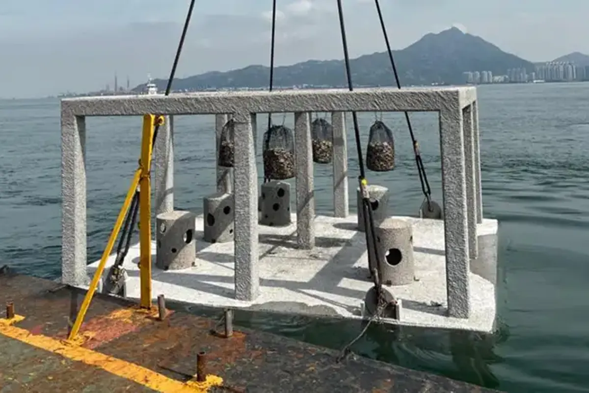 A structure in the water.