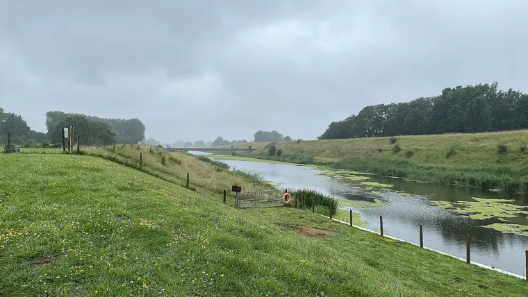 A stream of water surrounded by grass and trees.