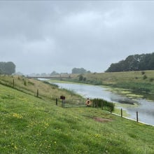 A stream with grass and trees around it.