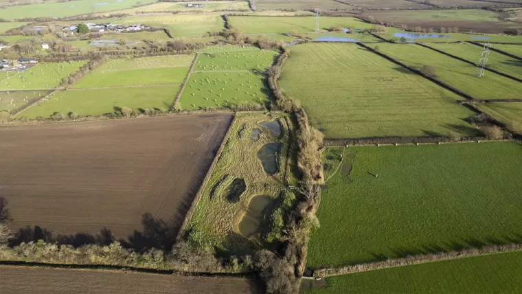 A large green field.