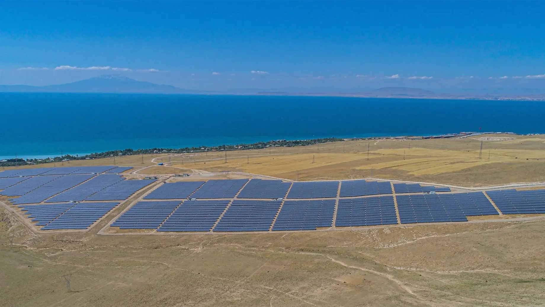 Solar panels in a field.