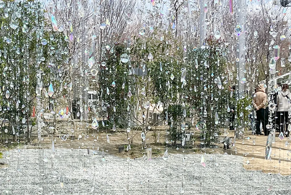 A group of people standing in a tree covered in white flowers.