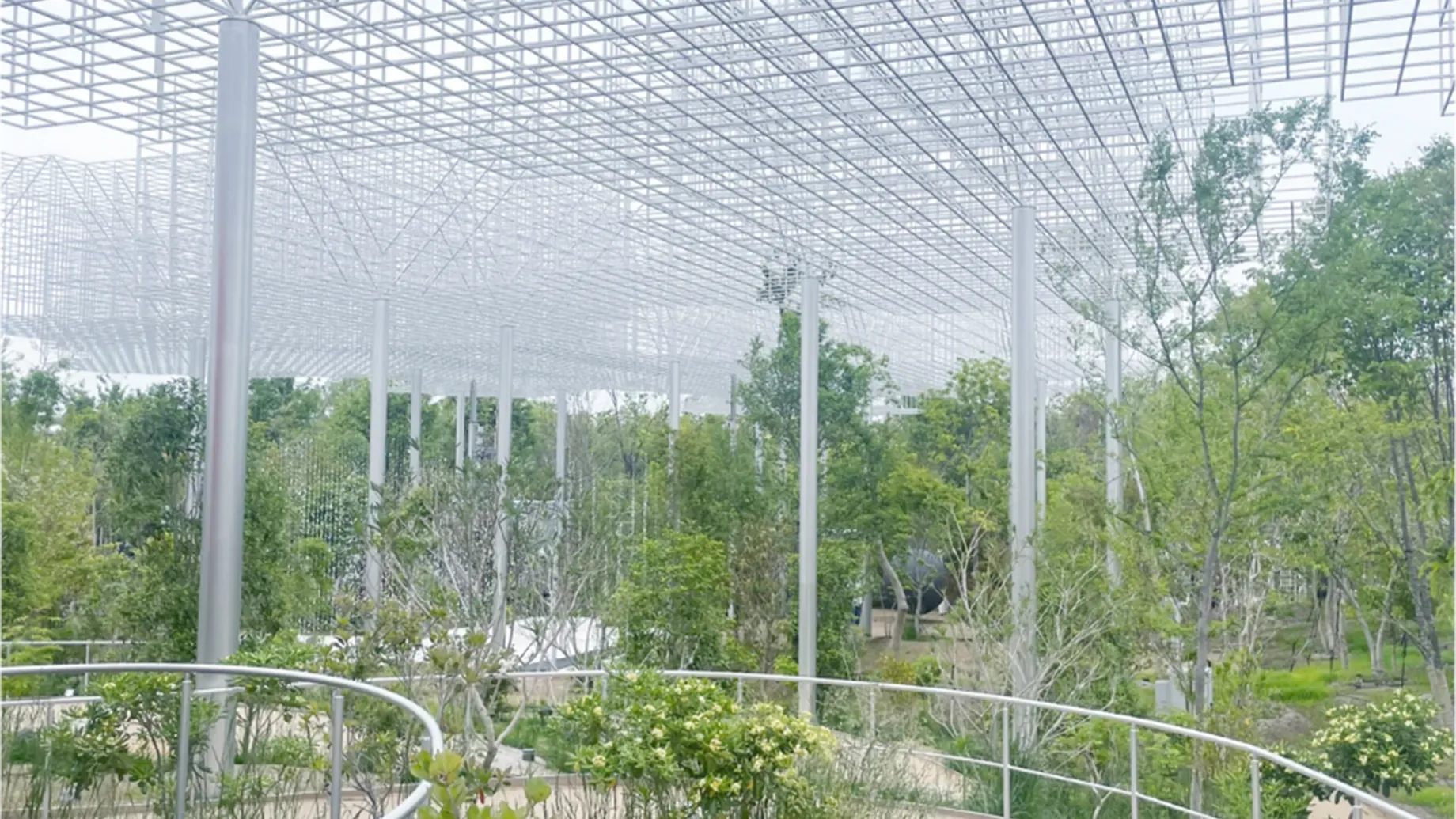 A greenhouse with trees and plants.