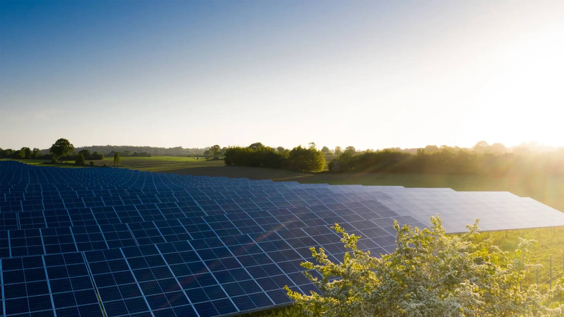 A field of solar panels.